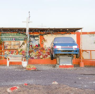 in the stillness of the atacama desert this vibrant assemblage is evidence of both death and life